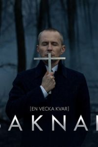 Пропавшая (2017)